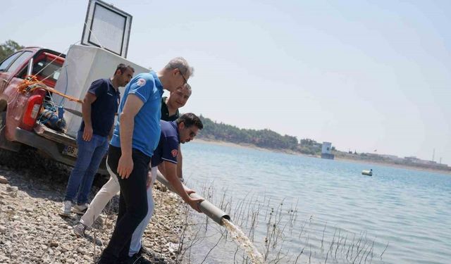 Adana’da yetişen 10 milyon 500 bin yavru sazan 12 ilde 129 göl ve göletlere bırakıldı