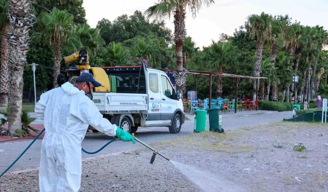 Antalya’da haşerelere karşı mücadele çalışmaları mesire alanlarında da sürüyor