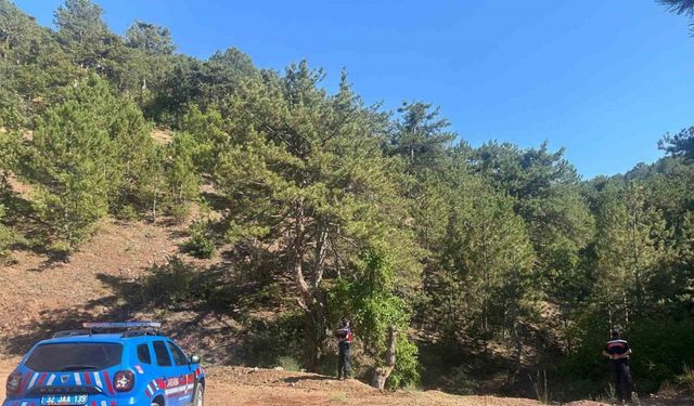 Eğirdir’de ormanlık alanlarda sıkı denetim