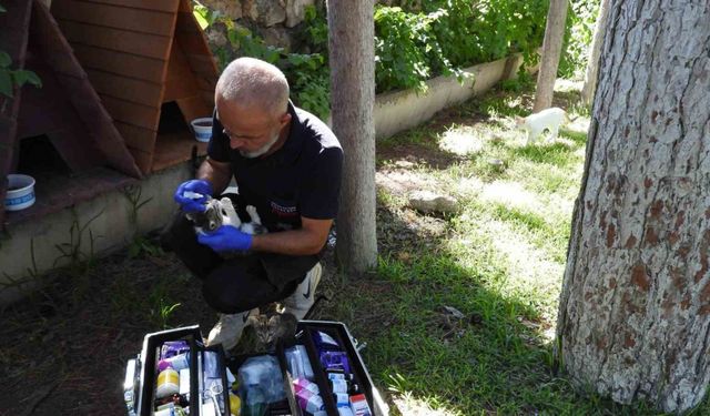 Kepez’in can dostları emin ellerde