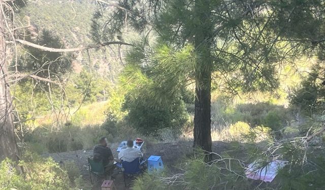 Ormanda piknik yapan 4 şahsa yasal işlem yapıldı