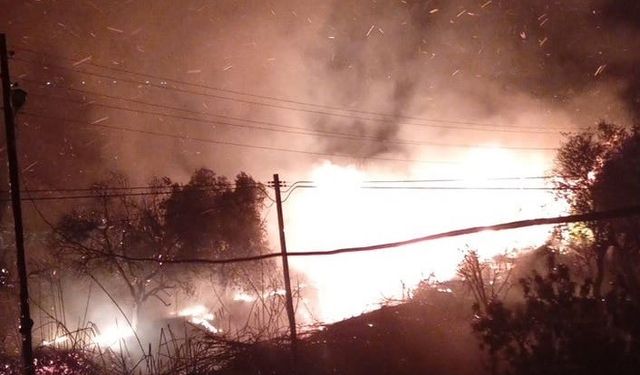 Silifke’de ağaçlık alanda çıkan yangın söndürüldü