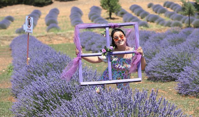 Isparta'nın mor tarlaları turistlerin uğrak adresi oldu