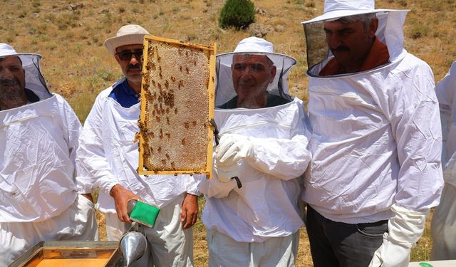Kahramanmaraş'taki Engizek Yaylası'nda Bal Mesaisi