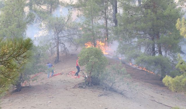 Kahramanmaraş'taki orman yangınına müdahale 2. gününde sürüyor