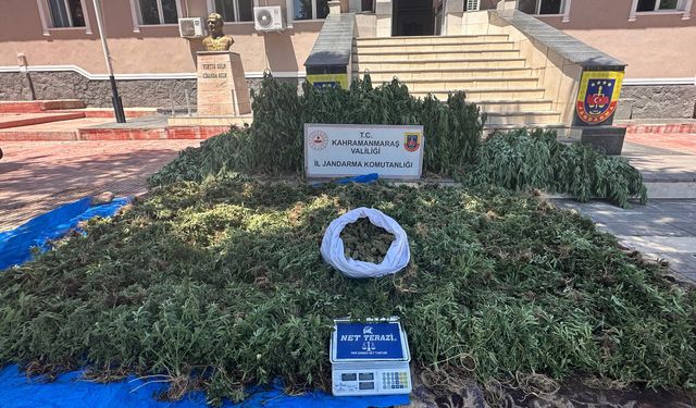 Uyuşturucu Operasyonu: 4 Şüpheli Tutuklandı