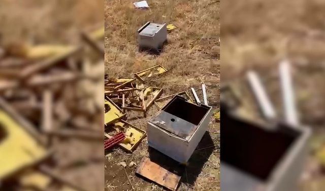 Afşin’de Arı Kovanlarına Ayı Saldırısı: 26 Kovan Zarar Gördü