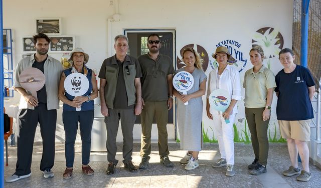 Adana Akyatan'da 20 yılda 270 bin kaplumbağa yavrusu denize ulaştı