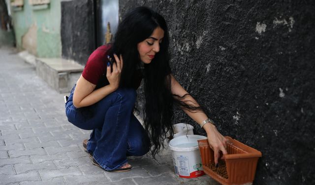 Adanalı hayvansever, evinin damını sahipsiz kediler için yuvaya dönüştürdü