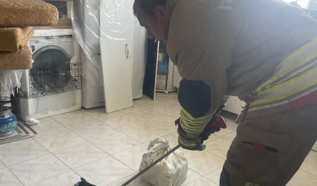 Antakya'da eve giren yılan itfaiye ekibince yakalandı