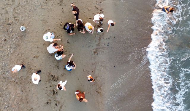 Antalya'da caretta caretta yavruları denizle buluştu