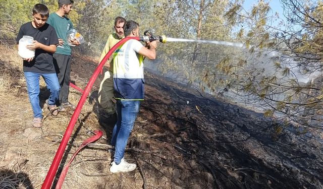 Gaziantep'te çıkan orman yangını kontrol altına alındı