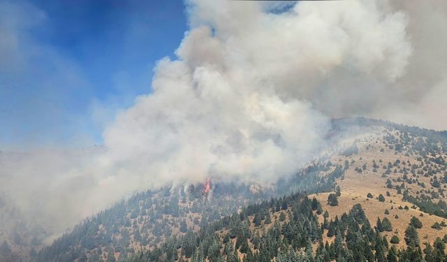 Kahramanmaraş'ta Çıkan Orman Yangınına Müdahale Sürüyor