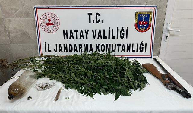 Payas'ta uyuşturucu operasyonunda 1 şüpheli yakalandı