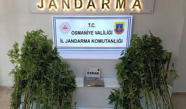Osmaniye’de bir haftada 121 şüpheli yakalandı