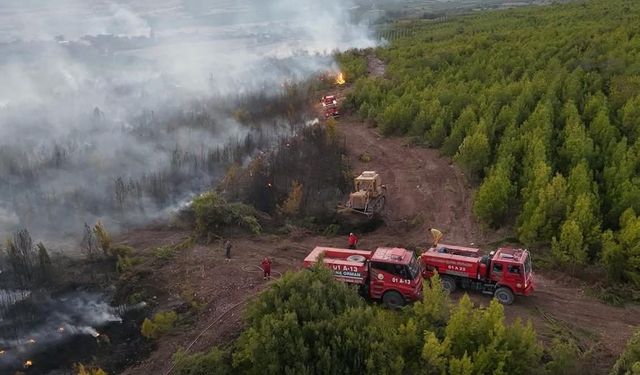 Osmaniye’de çıkan orman yangını söndürüldü