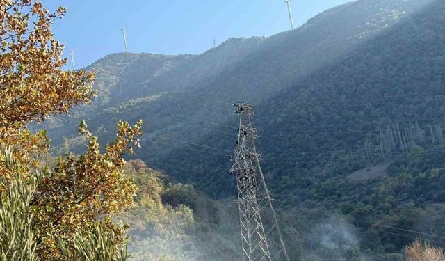 Osmaniye’de orman yangını