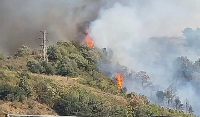 Osmaniye’nin Bahçe ilçesinde ormanlık alanda yangın çıktı