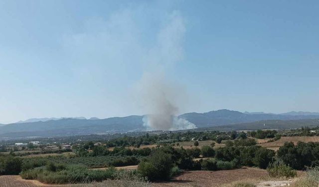 Osmaniye’nin Sumbas ilçesinde orman yangını başladı