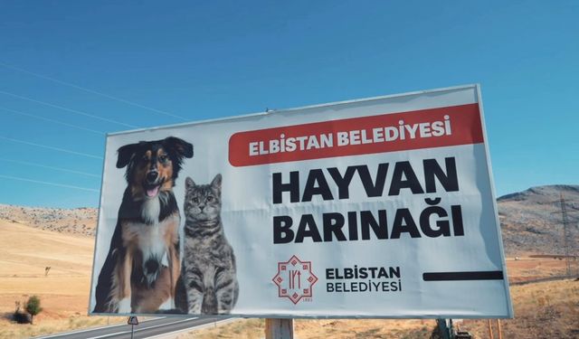 Elbistan Belediyesi'nden Sokak Hayvanlarına Örnek Hizmet