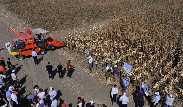 Adana'da 'Kale' mısır çeşidi tarla günü etkinliğiyle tanıtıldı