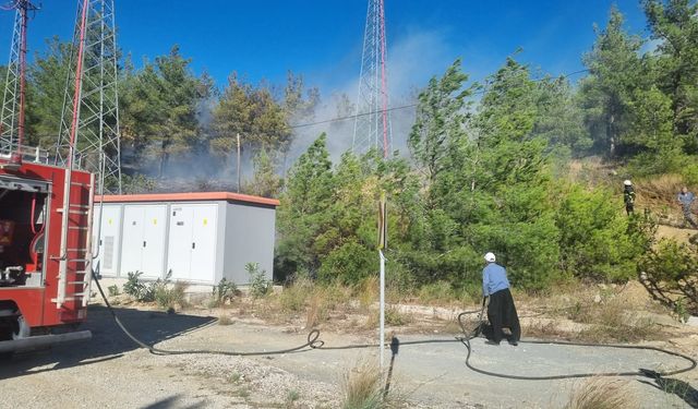 Adana'nın Karaisalı ilçesinde çıkan orman yangını söndürüldü