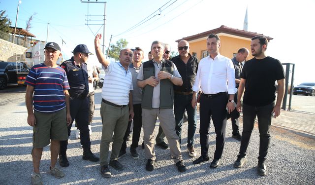 Antalya Valisi Şahin, Alanya'daki orman yangınıyla ilgili bölgede incelemelerde bulundu: