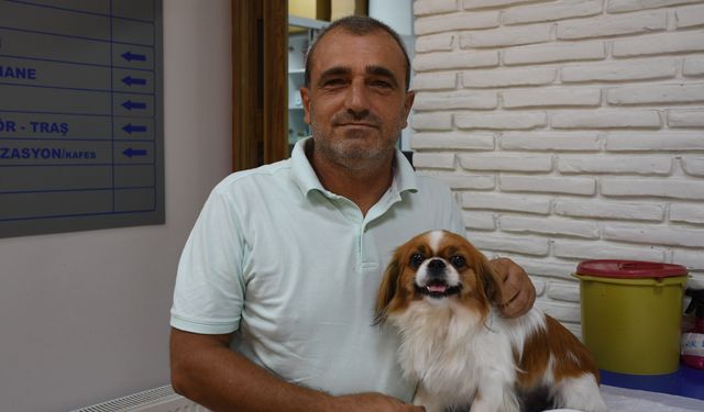 Araç çarpması nedeniyle yürüme güçlüğü çeken köpek, fizik tedaviyle sağlığına kavuştu