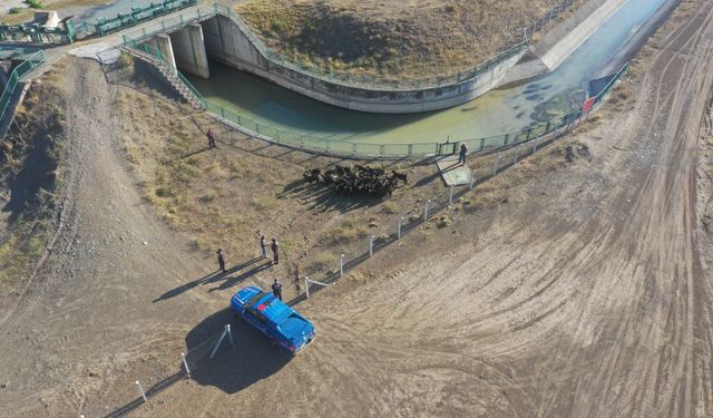 Burdur'da kaybolan 41 keçi jandarma dronuyla bulundu