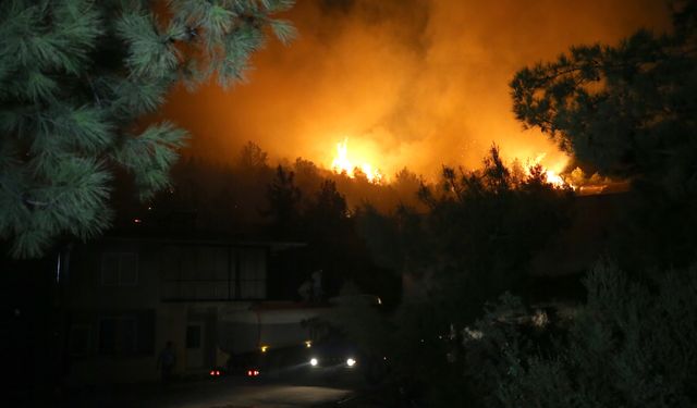 Antalya'nın Alanya ilçesinde ormanlık alanda yangın çıktı