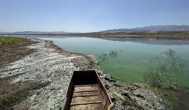 Kahramanmaraş'ta Sır Barajı'ndaki balık ölümleri araştırılıyor
