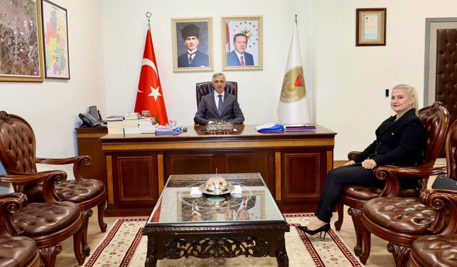 Akademisyenler’den Vali Ünlüer’e Makam Ziyareti