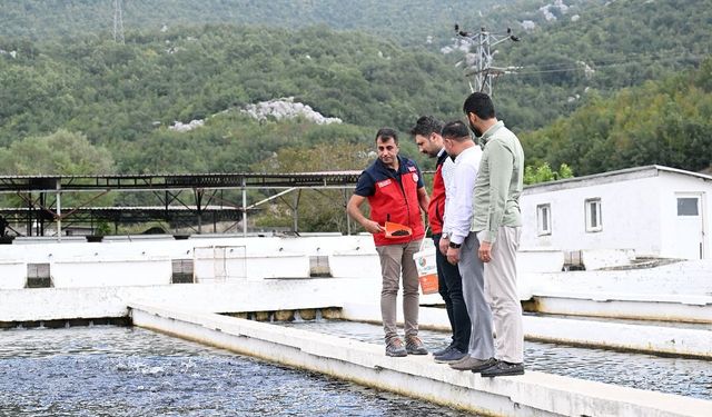 Kahramanmaraş, Türkiye'nin Alabalık Yavru Üretim Üssü Olmaya Devam Ediyor