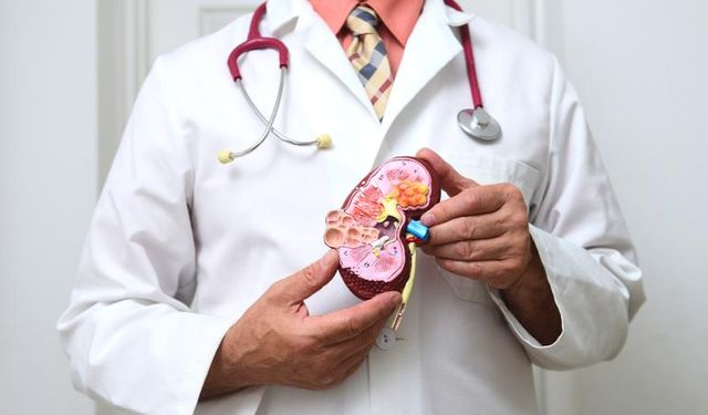 Böbrek Kanseri Sinsice İlerliyor!