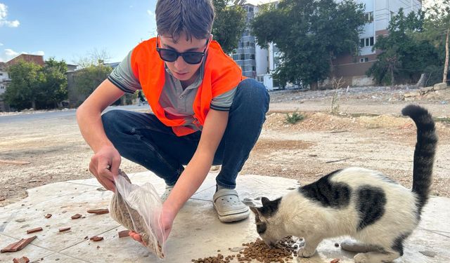 Afşin Ülkü Ocakları'ndan Sokak Hayvanlarına Mama ve Su Desteği