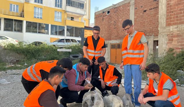 Afşin Ülkü Ocakları'ndan Sokak Hayvanlarına Mama ve Su Desteği