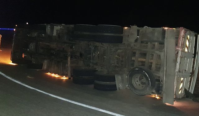 Kaş'ta devrilen tomruk yüklü kamyonun sürücüsü yaralandı