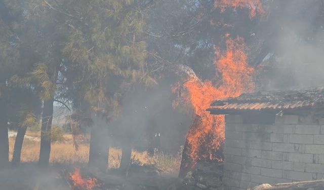 Bucak’ta odunlukta çıkan yangın korkuttu