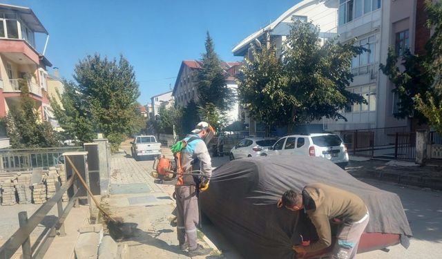 Isparta’da temizlik çalışmalarında araçlara brandalı önlem