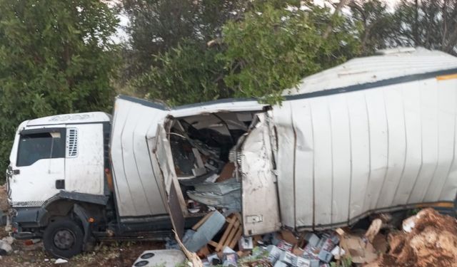 Mersin’de kamyon kazası : 2 yaralı
