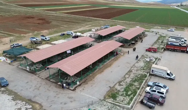 Kahramanmaraş'ta Hayvan Pazarları 13 Ekim'de Yeniden Açılıyor