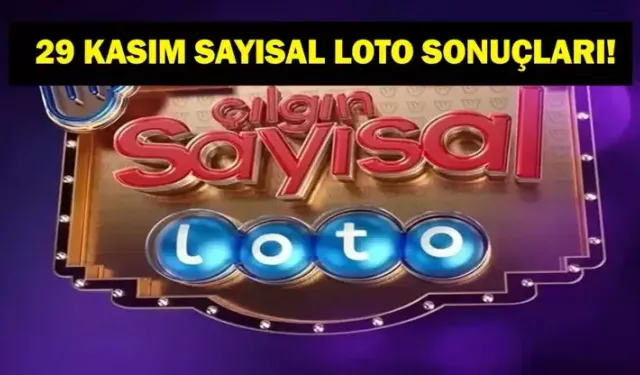 29 KASIM SAYISAL LOTO SONUÇ SORGULAMA: Çılgın Sayısal Loto'da Kim, Ne Kadar Kazandı? İşte 29 Kasım Milli Piyango