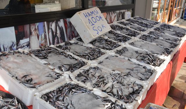 Afşin’de Hamsi Sezonu Başladı: Tezgâhlar Şenlendi