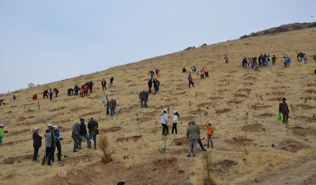 Afşin’de Milli Ağaçlandırma Günü’nde Fidan Dikimi Yapıldı