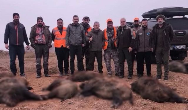 Afşin’de Yaban Domuzlarına Karşı Sürek Avı Yapıldı