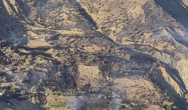 Kahramanmaraş'ta Çıkan Orman Yangını Kontrol Altına Alındı