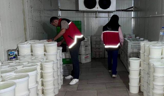 Hatay'da gıda güvenliğini tehdit eden peynir ve yoğurt imha edildi