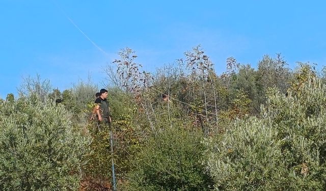 Kumluca'da makilik alanda çıkan yangın söndürüldü