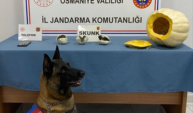 Osmaniye'de bal kabağının içine uyuşturucu gizleyen zanlı tutuklandı