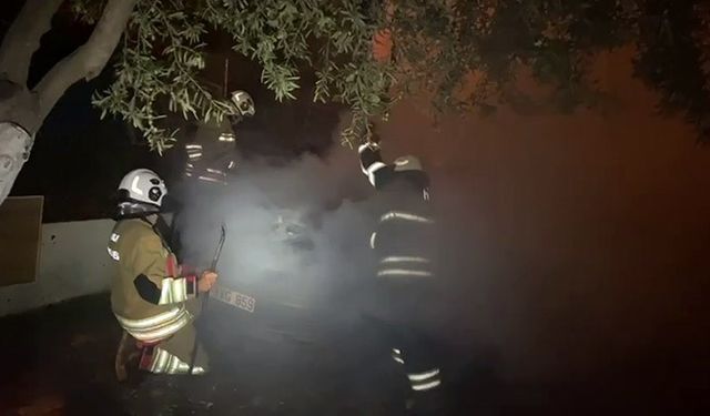 Park halindeki otomobil alevlere teslim oldu